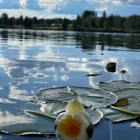 Aurora Light Apartment *