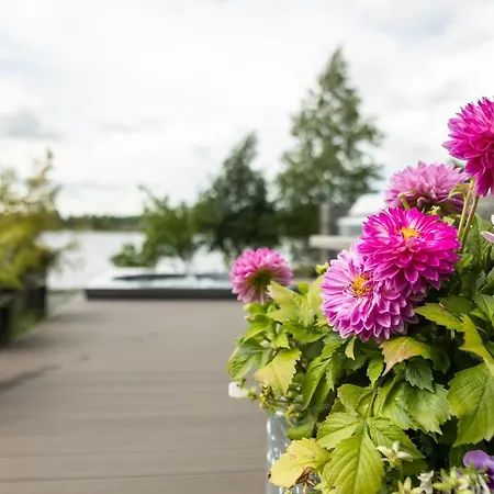 Aurora Light * Rovaniemi