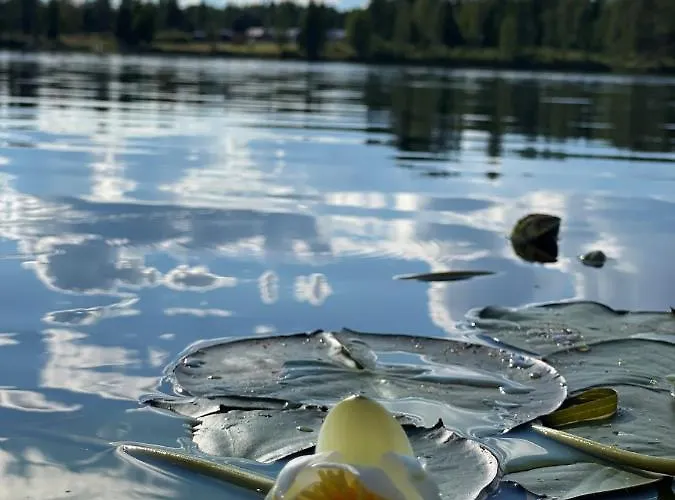 Aurora Light Apartamento *