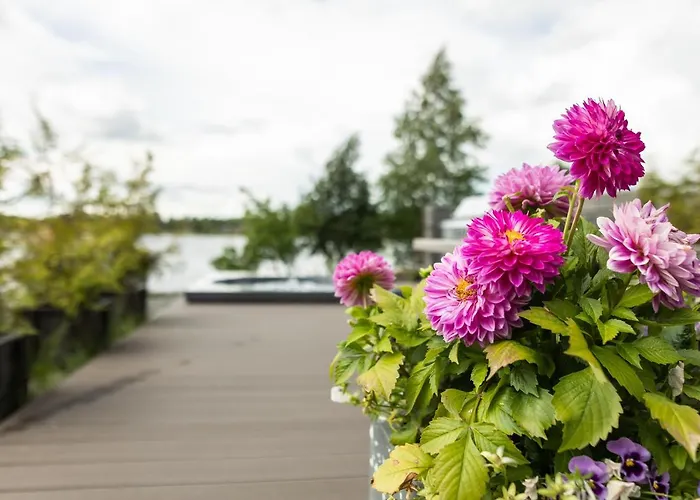 Aurora Light * Rovaniemi